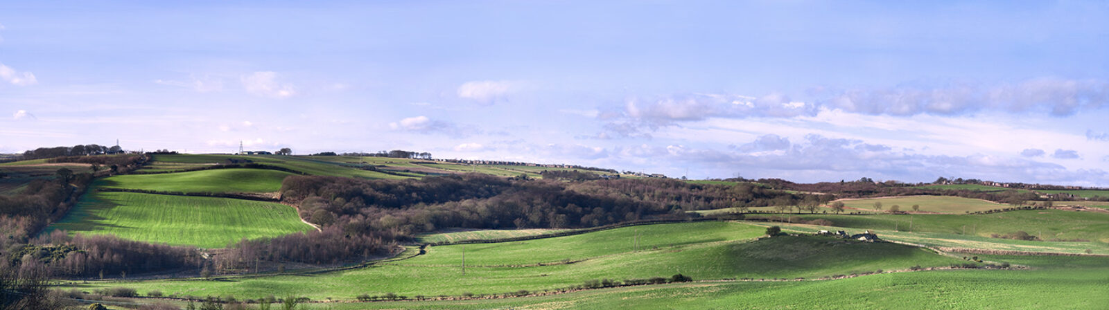 North Durham 